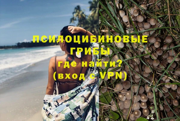 ПСИЛОЦИБИНОВЫЕ ГРИБЫ Михайловск