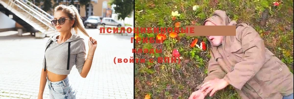 марихуана Магадан